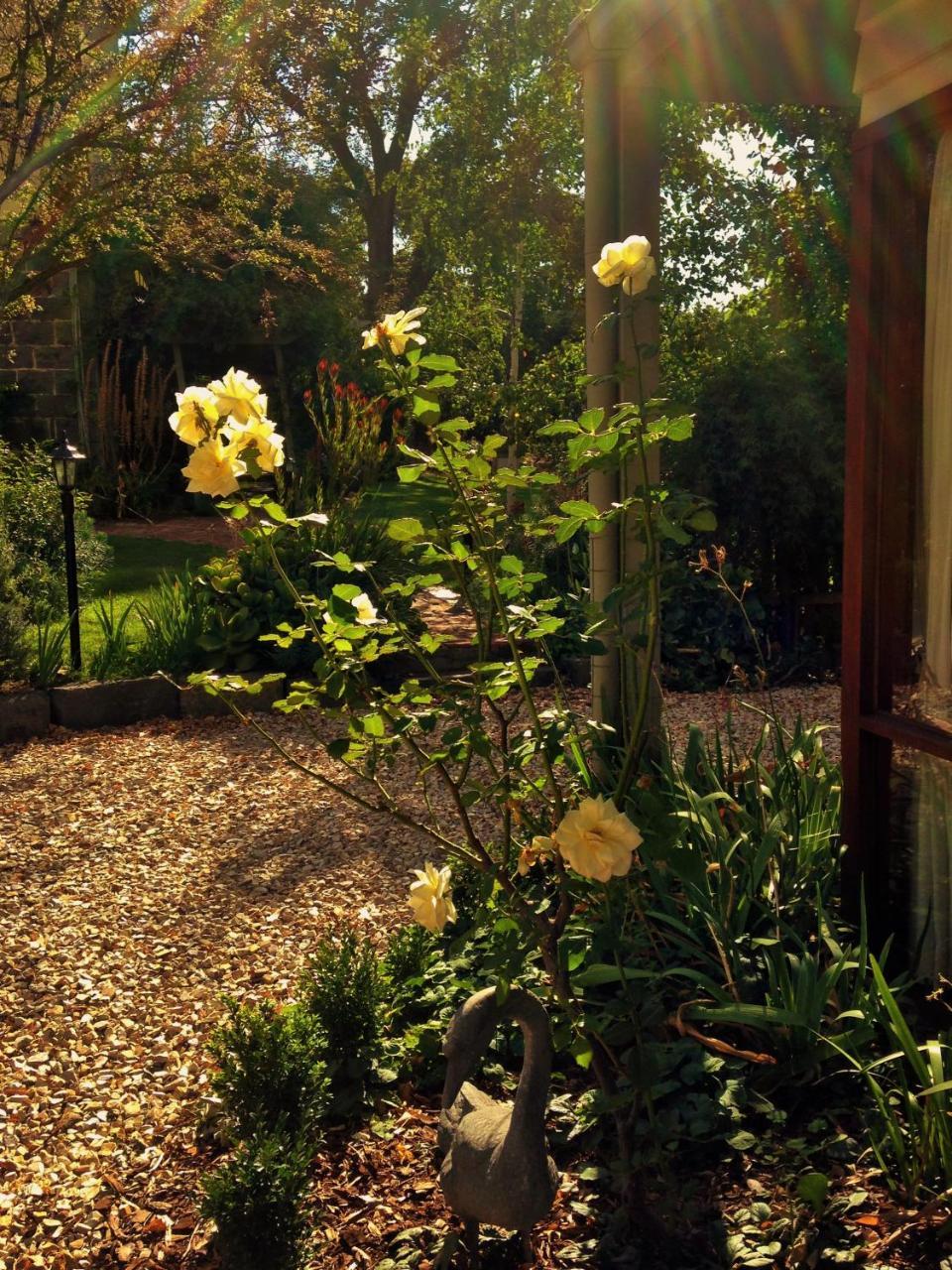 Bindley House B&B Cottage Kilmore Exterior photo